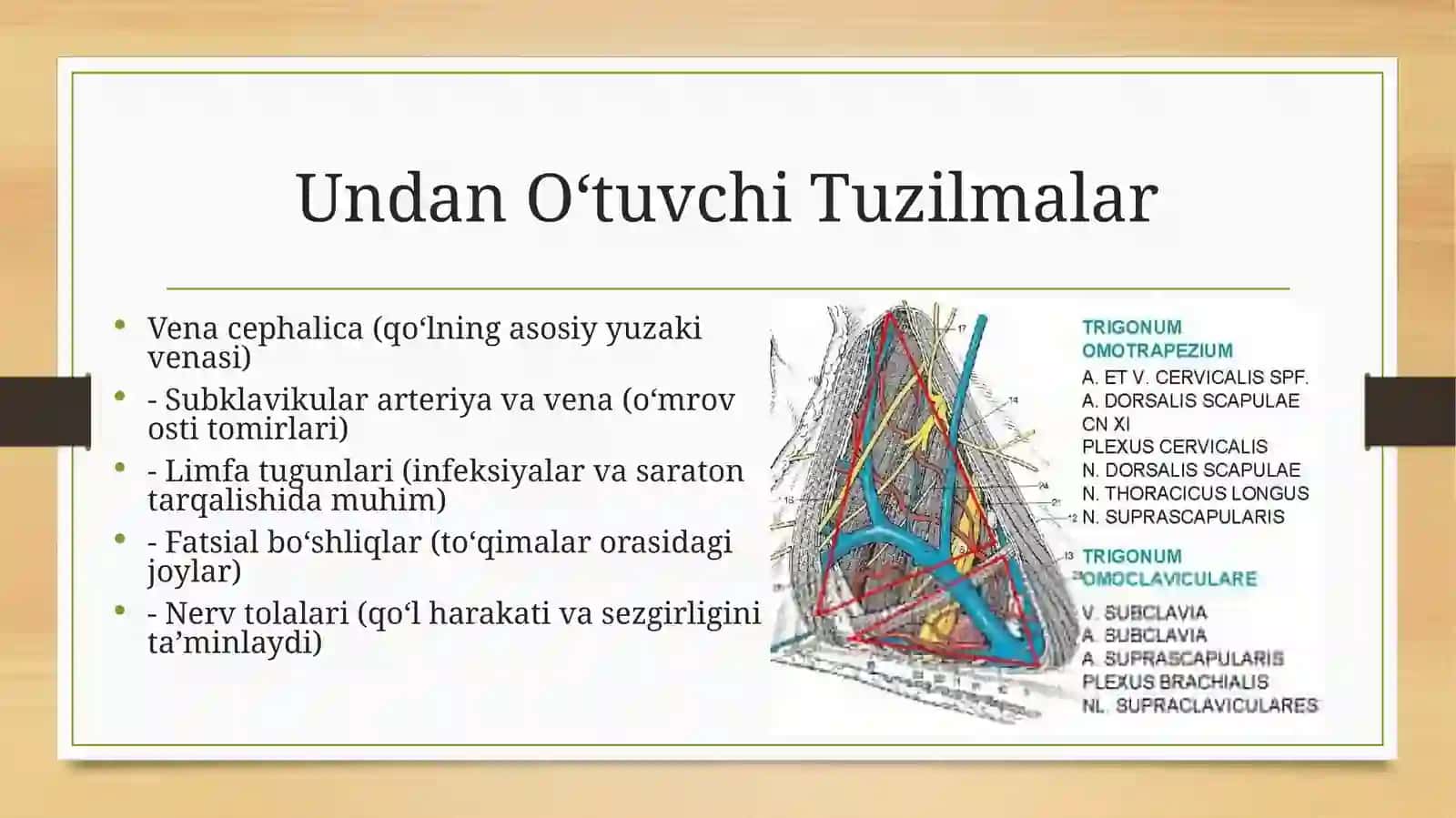 Kurak Trapetsiyasimon uchburchagi 4