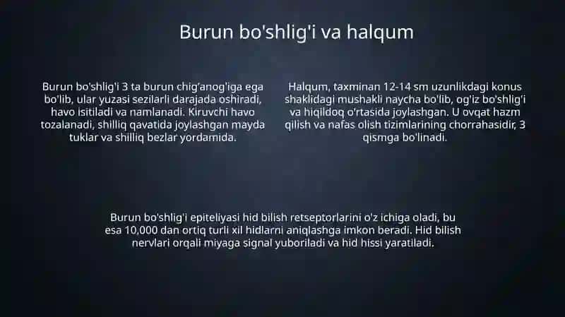 Nafas olish organlarining tuzilishi 4