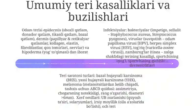 Odamterisining tuzilishi va funksiyalarini oʻrganish 4