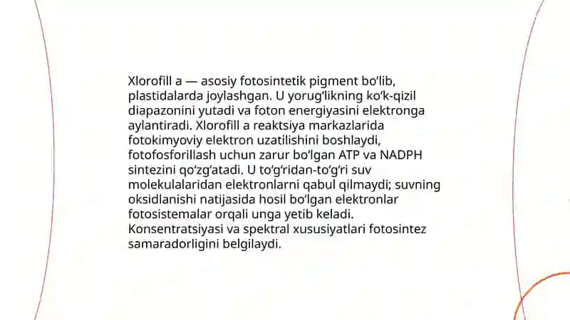 Plastida pigmentalari va ularning fotosintezdagi òrni 4