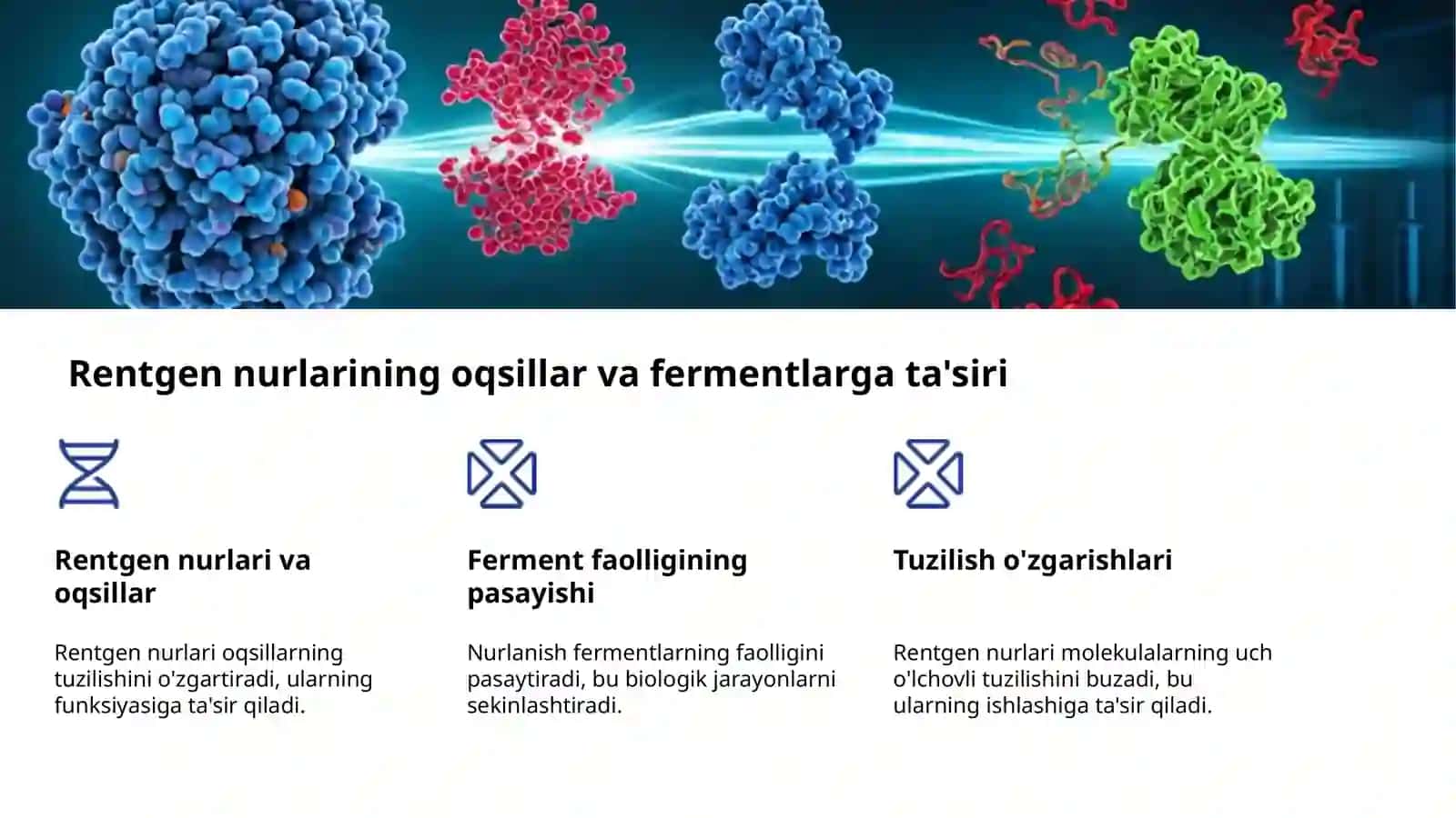 Rentgen nurlari va biologik tizimlar 4