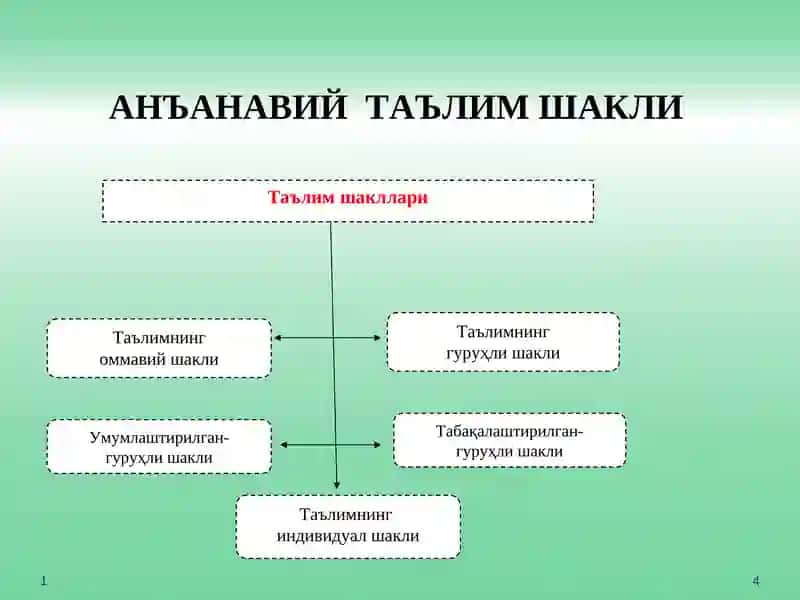 TA’LIMNI TASHKIL ETISH SHAKLLARI VA TURLARI 4