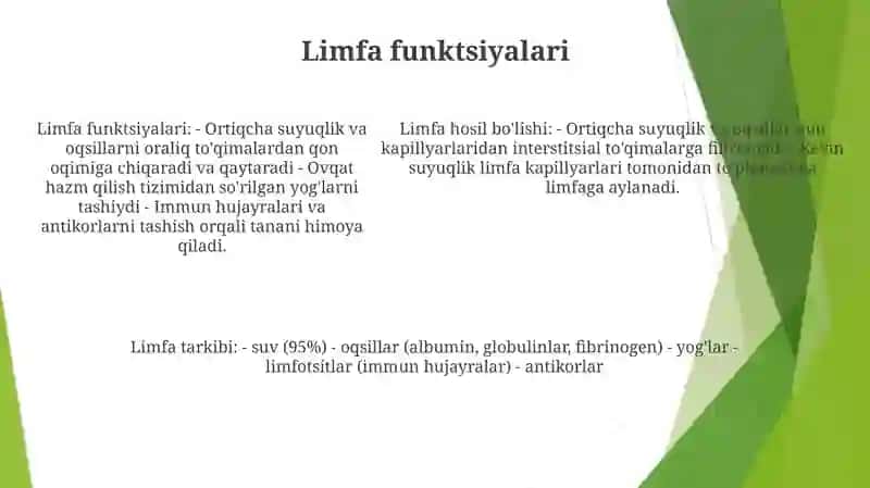 Limfaning Hosil BoʻLishi, Tarkibi Va Vazifalari 4