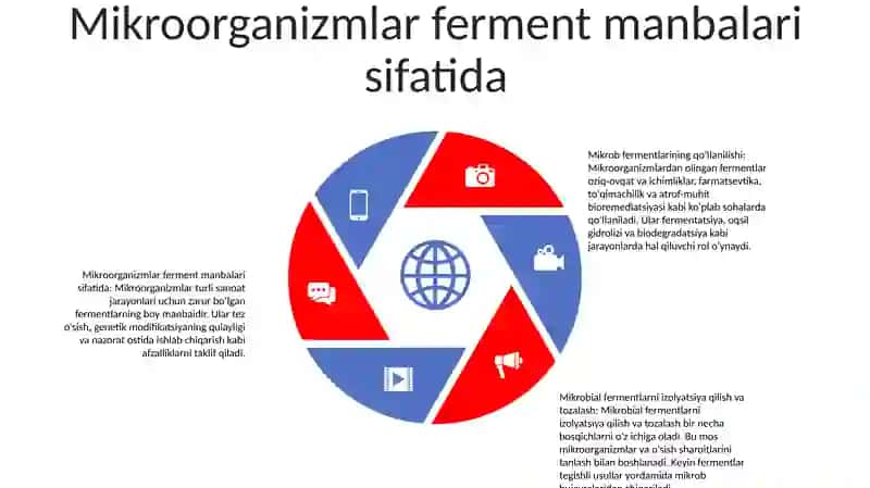 Mikroorganizmlardan Fermentlar Ajratib Olish Uchun Ularni Suyug 4