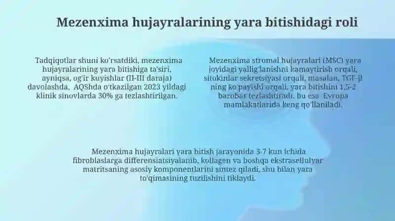 Mezenximaning tuzilishi va ahamiyati 4