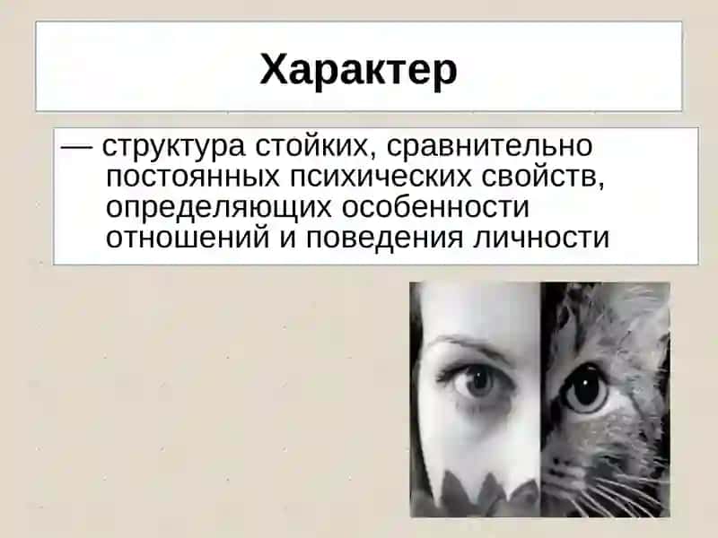 Характер ва қобилиятлар 4