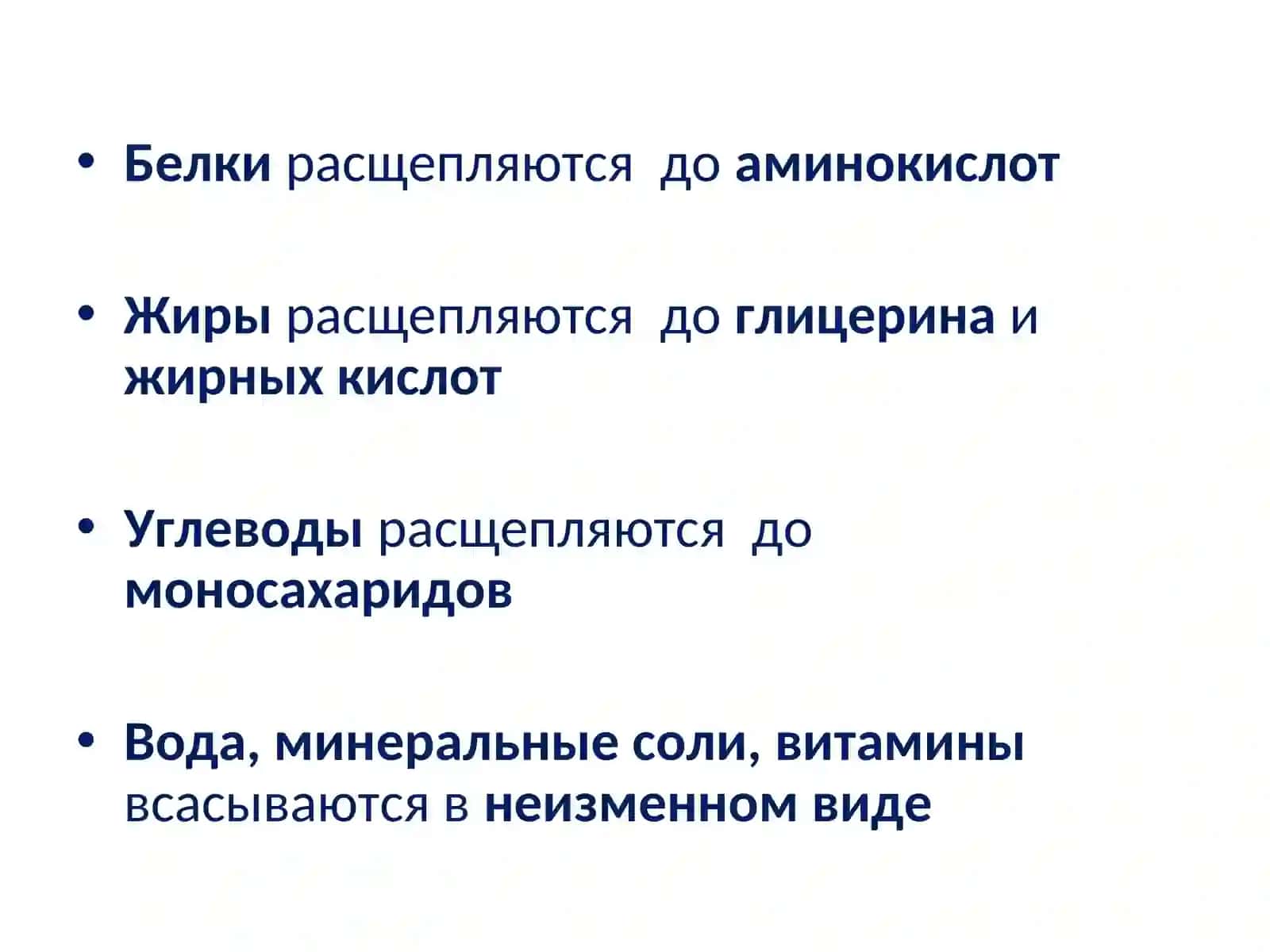 Анатомия и физиология человека 4