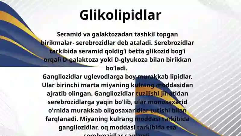 Nerv toʻqimasi glikolipidlari ahamiyati va ular bilan bogʻliq kasalliklar 4