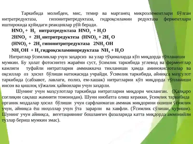 Азотнинг ўсимликлар ҳаётидаги аҳамияти ва азот баланси 4