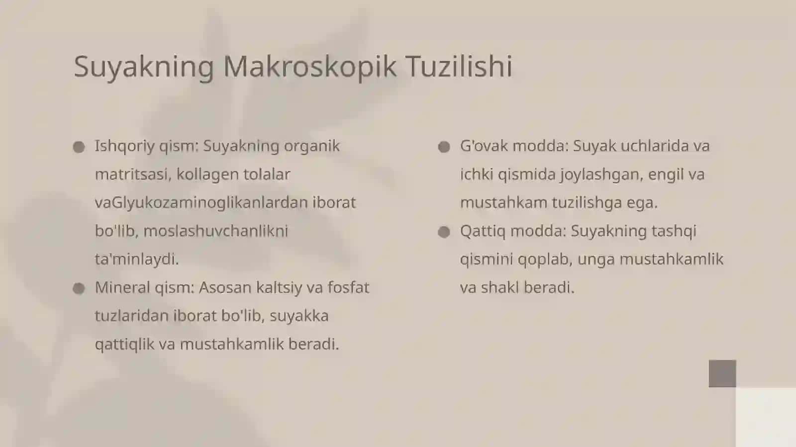 Organizmda Suyaklarning Tuzilishi va Funksiyalari 4