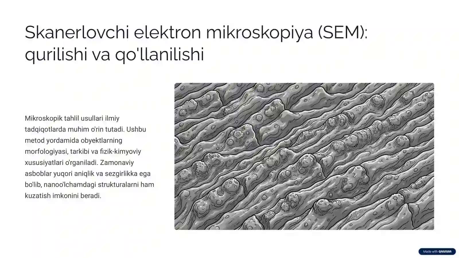 Elektron mikroskopiya 4