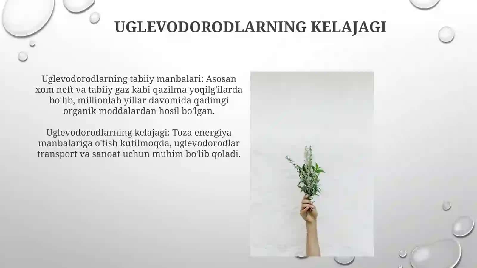 Uglevodorodlarnitabiiymanbaalari.Neftvauniqaytaishlash 4
