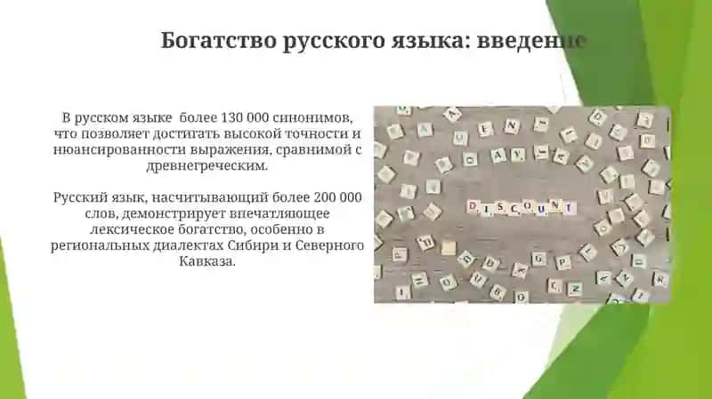 Лексическое богатство русского языка (синонимы, антонимы, омонимы) 4