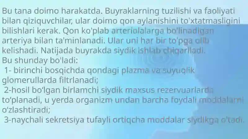 Bolalar buyraklari anatomik xususiyatlari 4