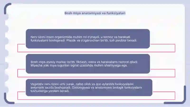 Nerv tizimi . Bosh miya , miyacha , vegitativ nerv tizimi gistalogiyasi 4