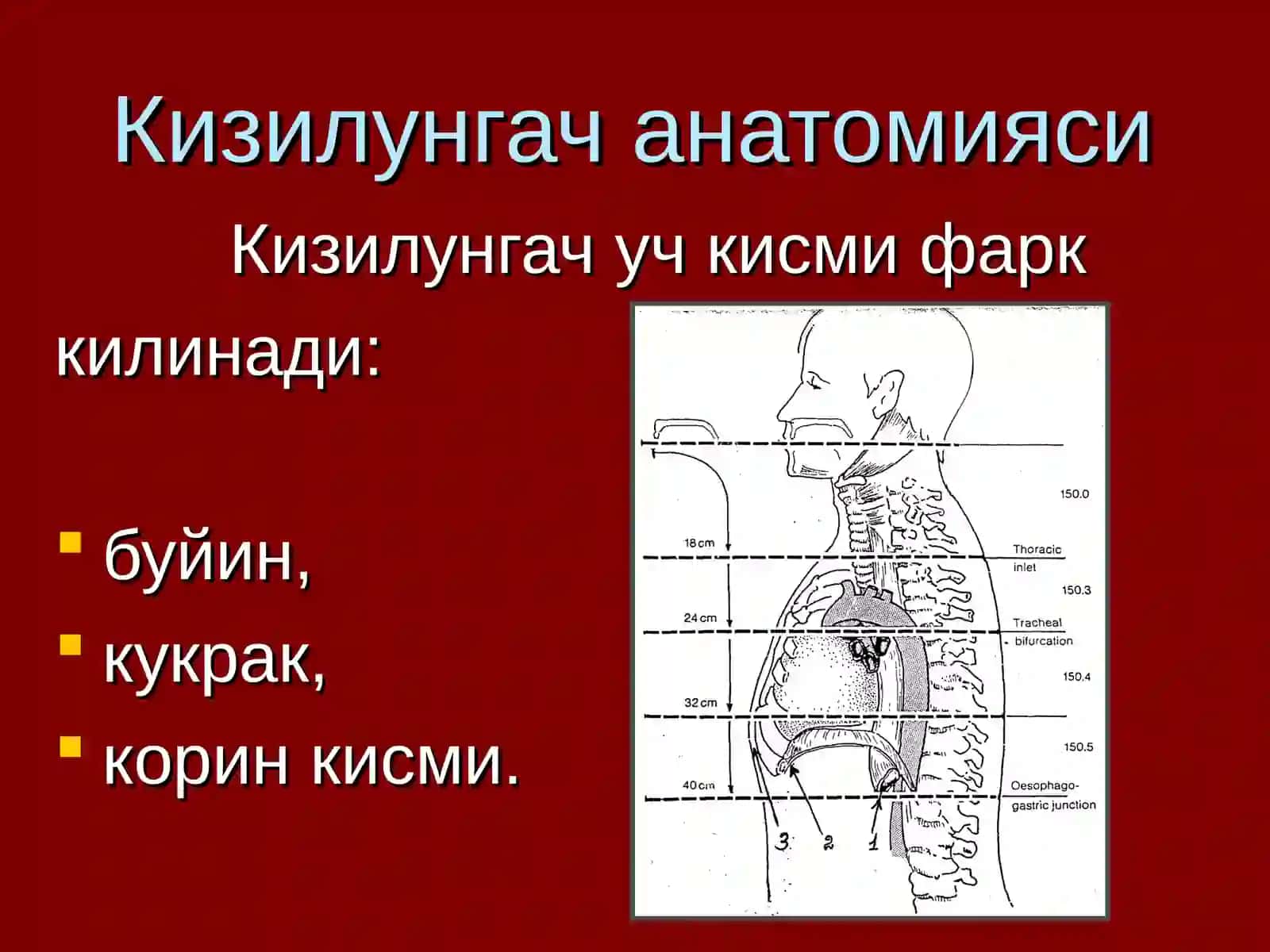 Qizilo'ngach saratoni 4