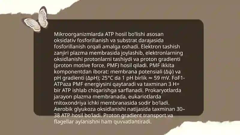 Mikroorganizmlarni fiziyalogiyasi 4