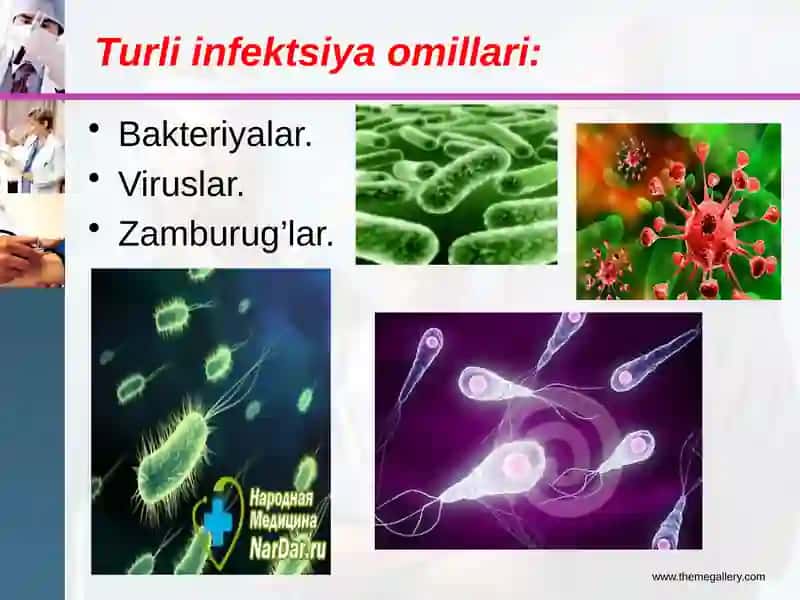 ASMATIK STATUSDA BIRINCHI YORDAM KO’RSATISH ALGORITMI 4