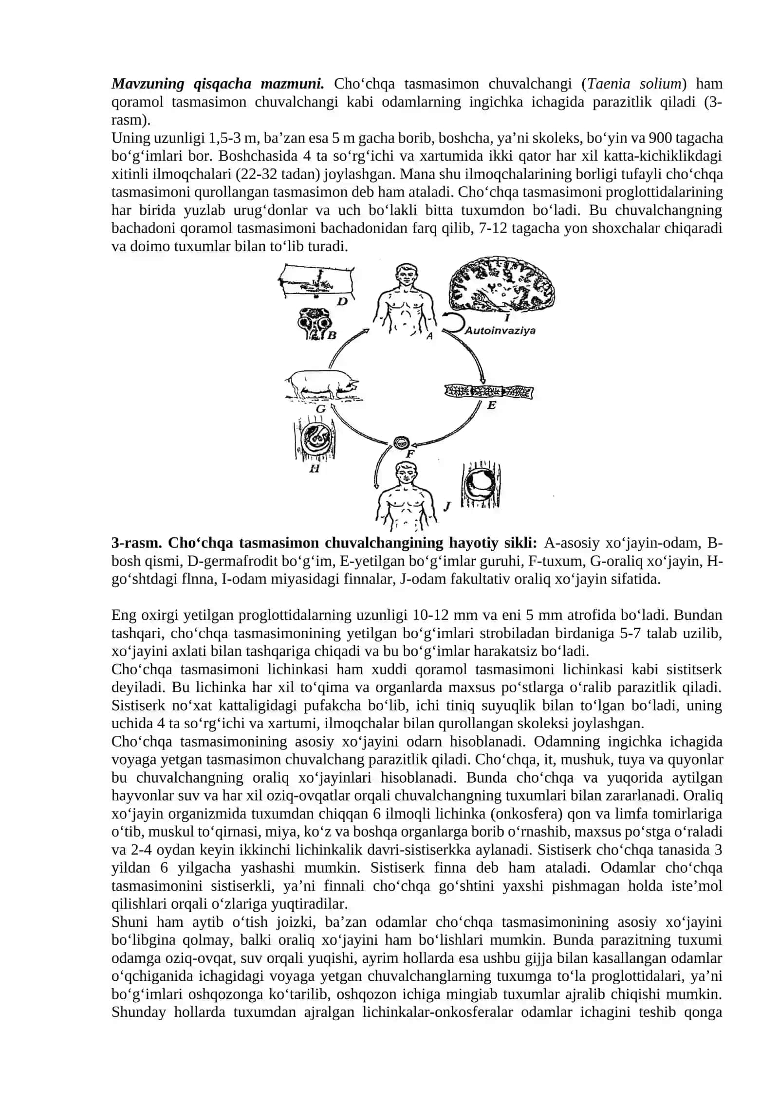 Qoramol (Taeniarhynchus saginatus) va cho‘chqa (Taenia solium) tasmasimon chuvalchanglarining tuzilishi va rivojlanishi 4
