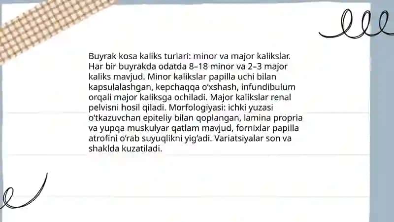 Siydik ayiruv yoʻllar:buyrak kosa va jomchalari siydik nayi,siydik qopi ularning tuilishi va ahamiyati 4