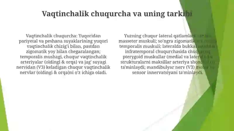 Yuzning yon sohasi chuqur qavatlarining klinik anatomiyasi 4