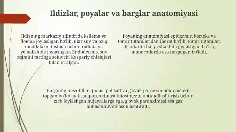 Oʻsimliklar anatomiyasi va fiziologiyasi 4