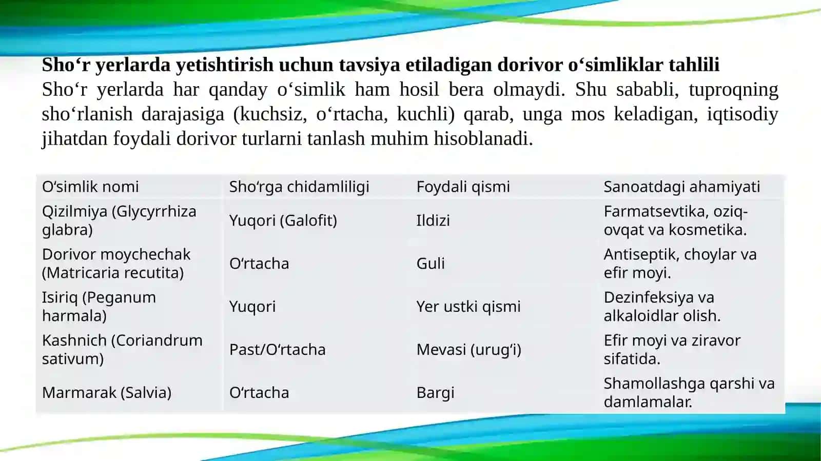 Shoʻr yerlarda dorivor oʻsimliklar yetishtirish texnologiyasi 4
