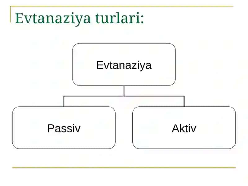 Tibbiyot. Evtanaziya 4