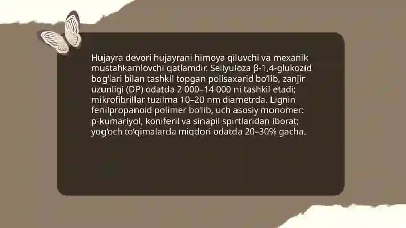 O'simliklar anatomiyasi va fizalogiyasi 4