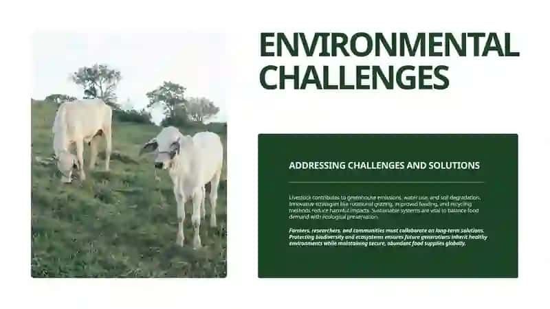 Livestock Feeding the World, Sustaining Communities 4
