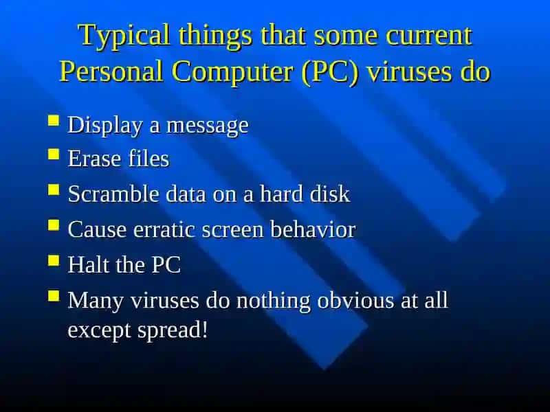 Computer Viruses 4