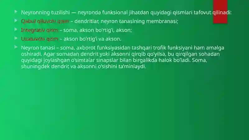 Nerv tolalarivasinapslar fiziologiyasi 4