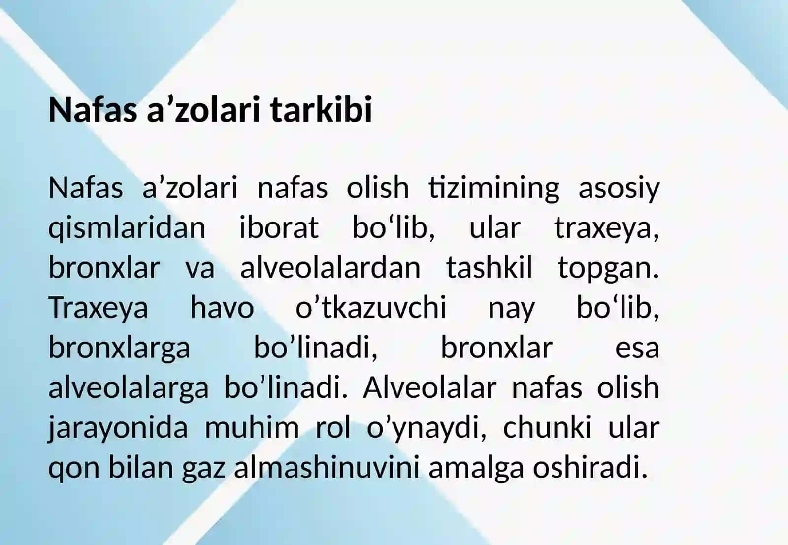 Nafasa’zolarining tuzilishi 4