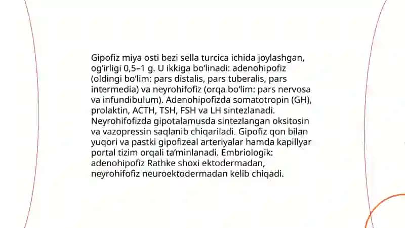 Gipotalamo gipofizar sistema 4