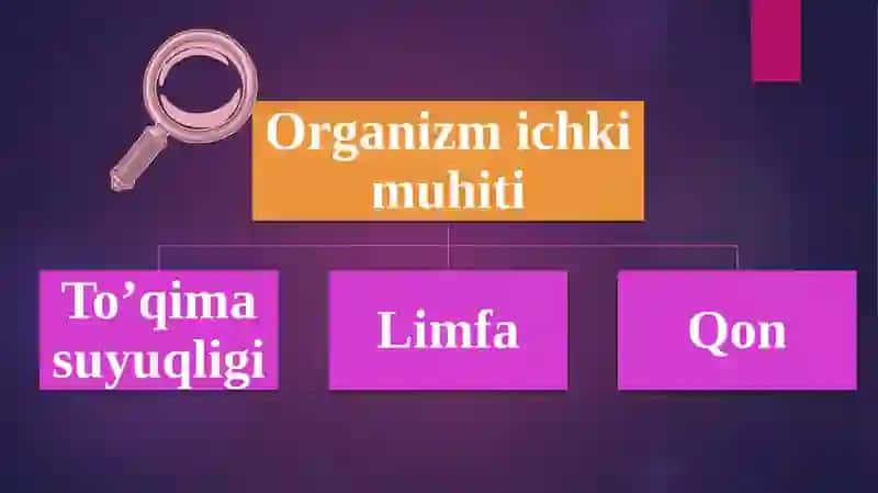 Qonvauningvazifasi 4