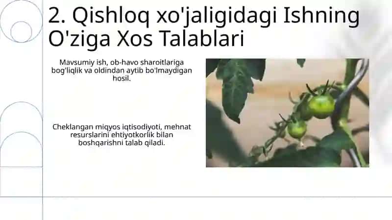 Migrant va Mavsumiy Mehnat 4