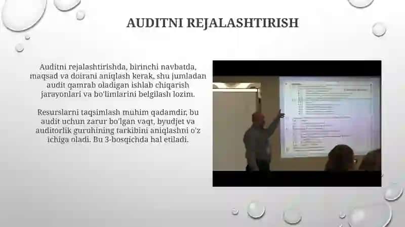 Asosiy ishlab chiqarish sektorlarini auditdan o'tkazish tartibi 4
