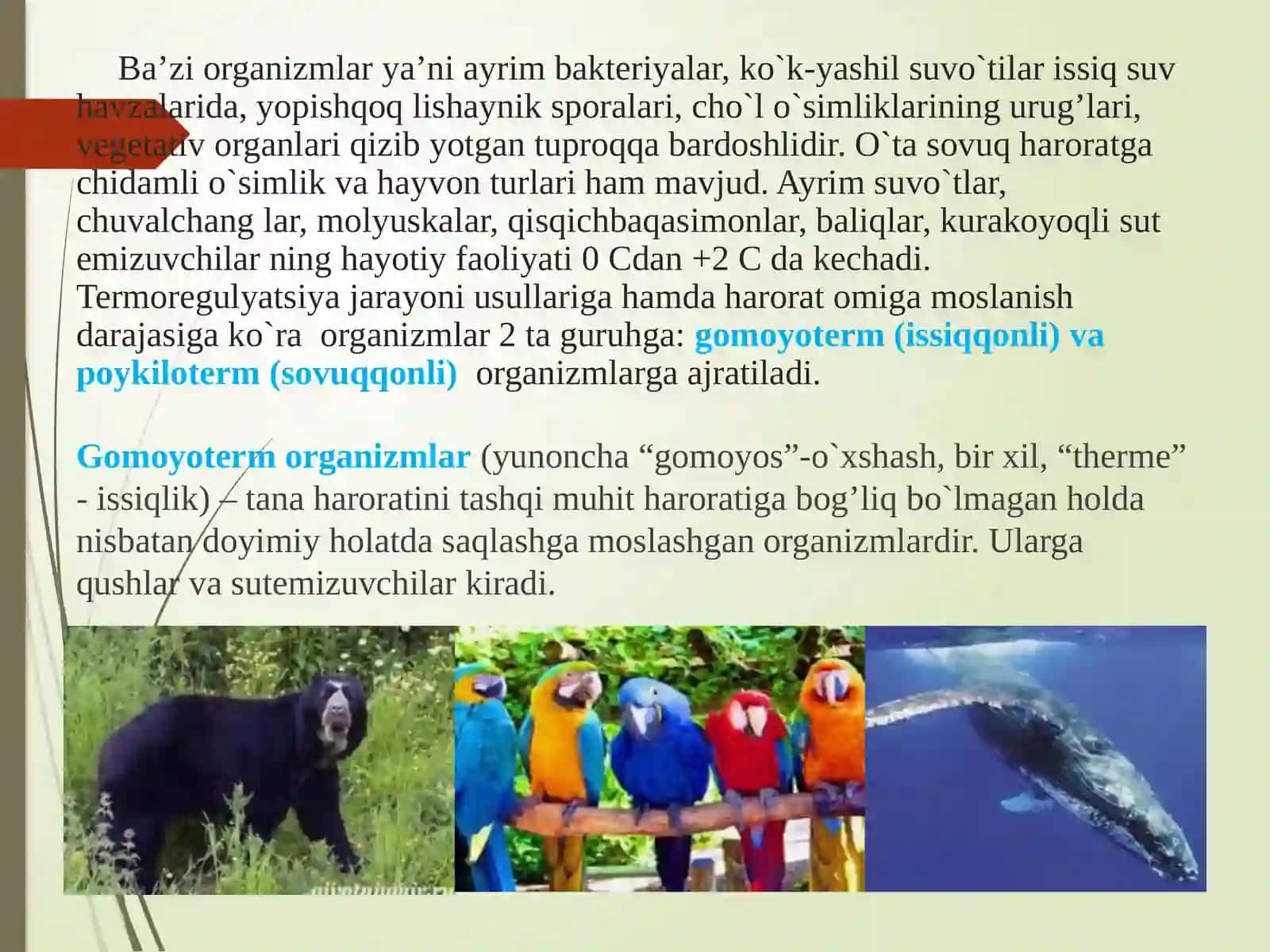 Harorat va Namlikning Tirik Organizmlar Hayotidagi Ahmiyati 4