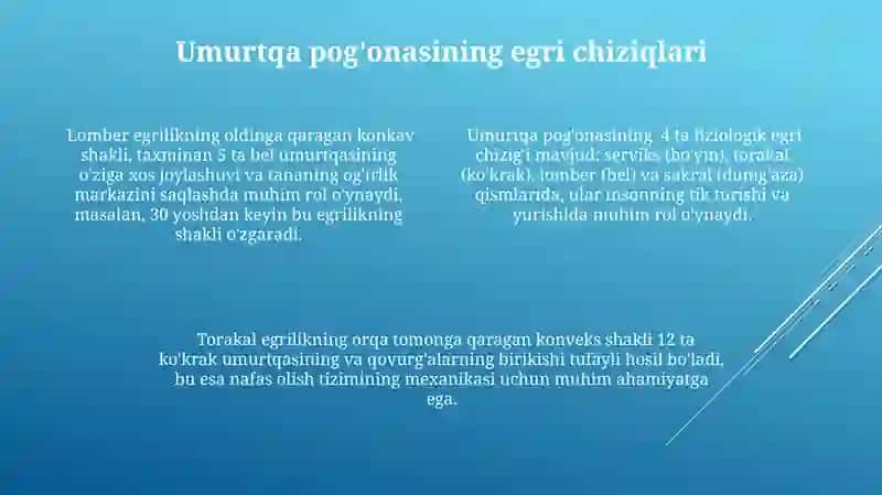 Umurtqalarning oʻzaro birlashishi umurtqa pogʻonasi qovurgʻalarning umurtqalar va toʻsh 4