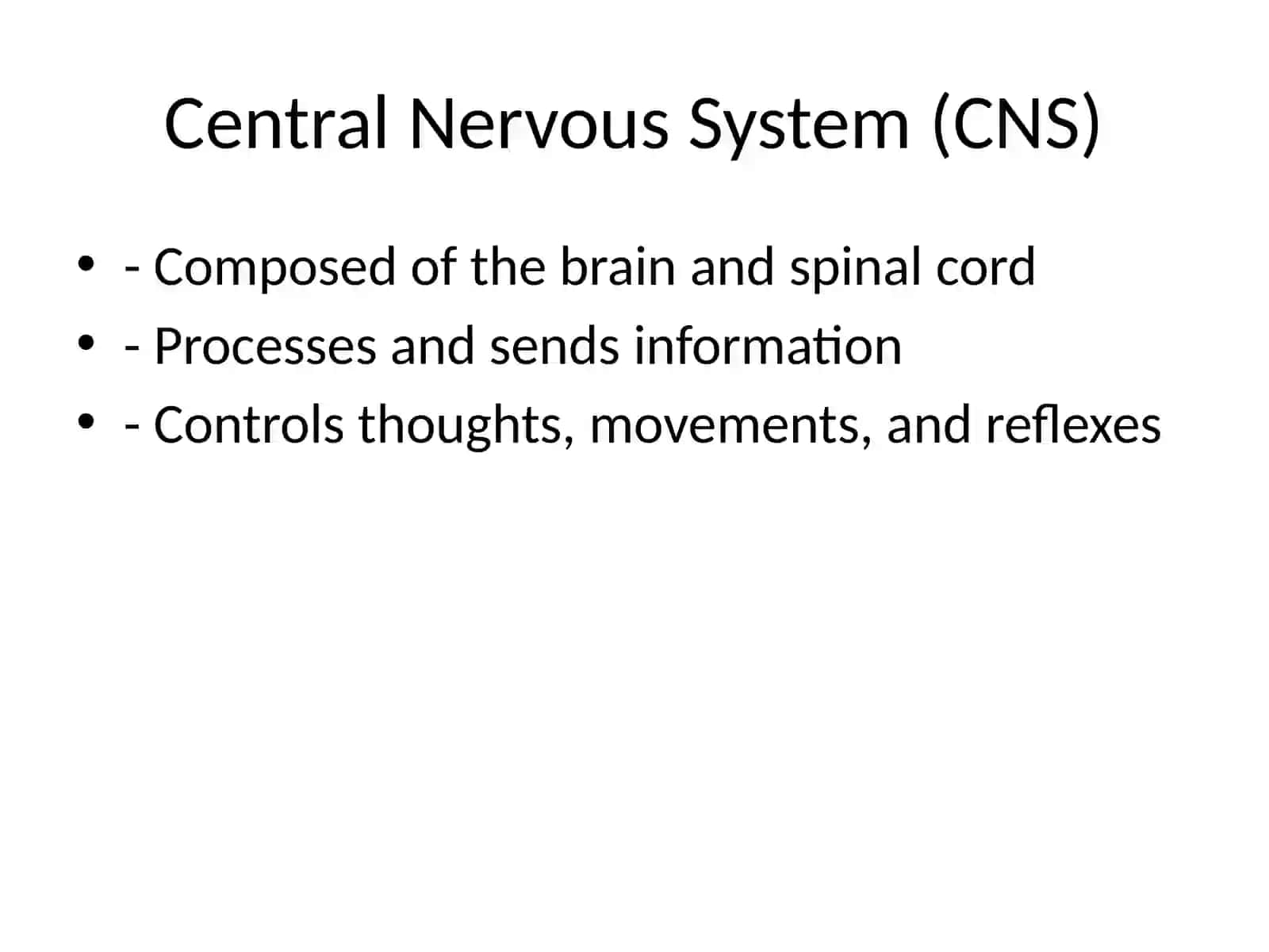 Nervous System Structure, Functions, and Disorders 4