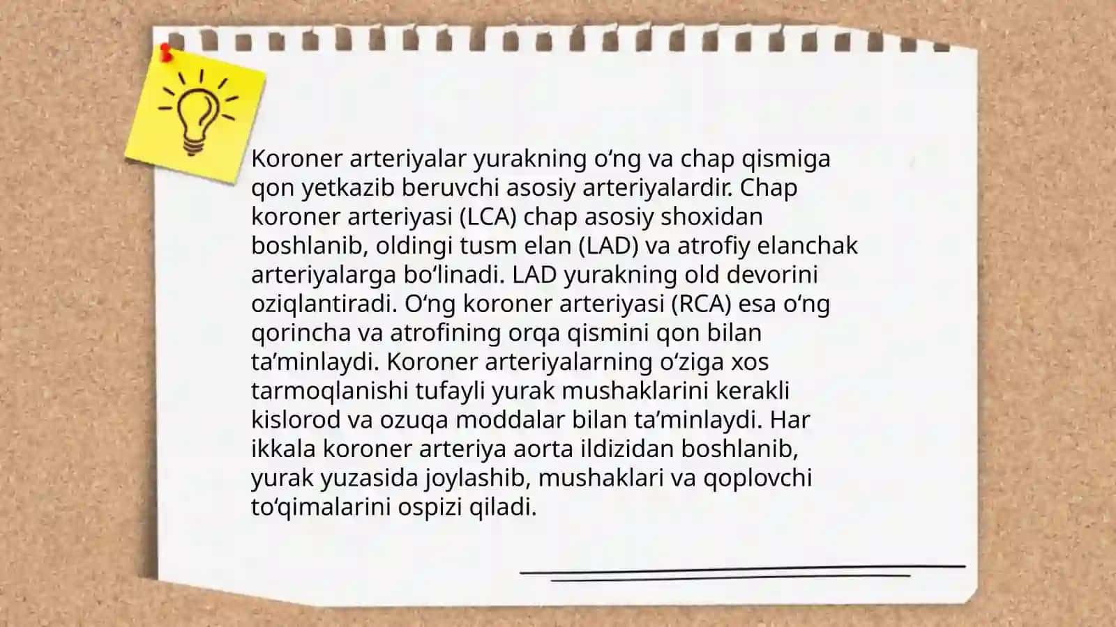 Yurak va qon tomirlar rentgenanatomiyasi 4