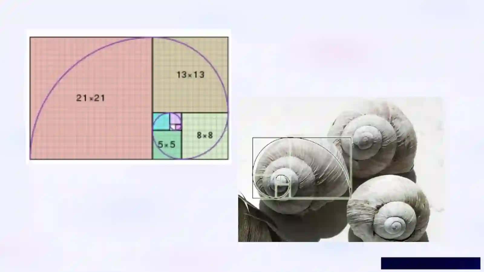 Matematika mo'jizalari 4