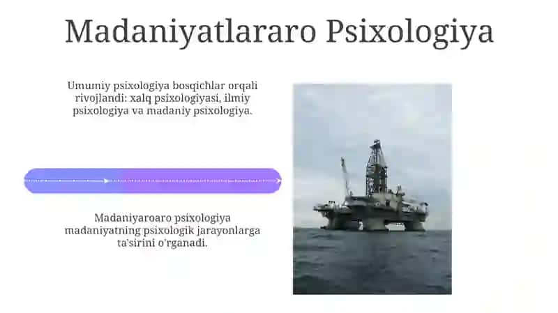Umumiy pisixologiya fanining taraqiyot bosqichi 4