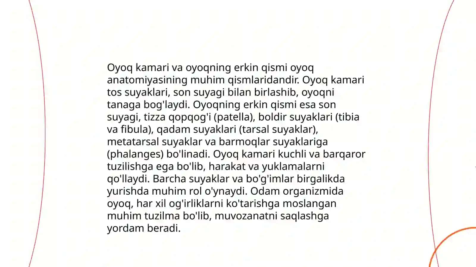 Oyoqning suyak tuzilishi 4