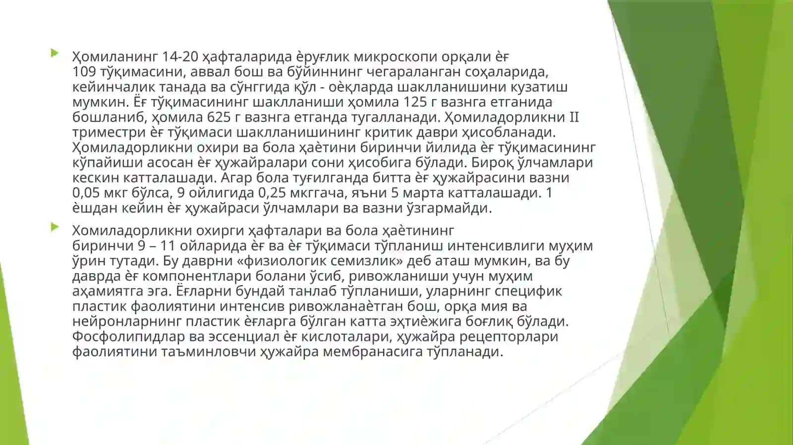 Teri osti yog’ qavati (embriologik jarayon) 4
