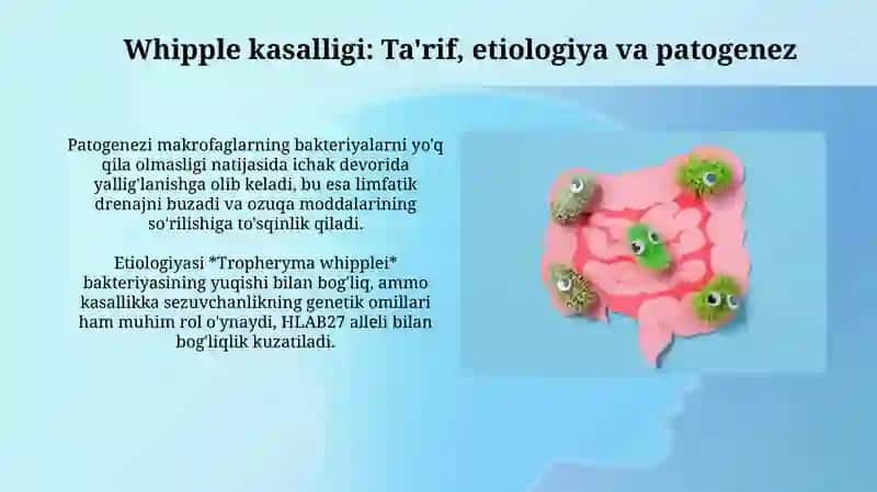Ichak disbiyozi: Patogenez va patofiziologiya 4