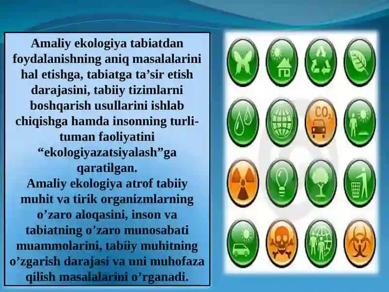 Ekologiya   Экология 4