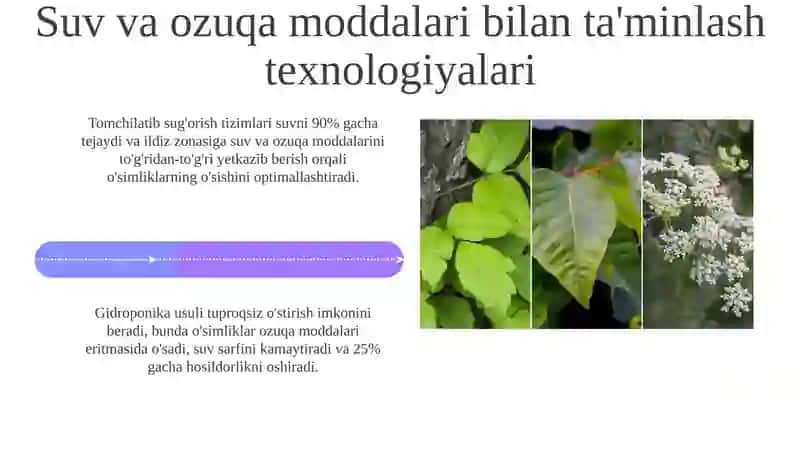Ikki yillik dorivor o’simliklarni yetishtirish texnologiyasi 4