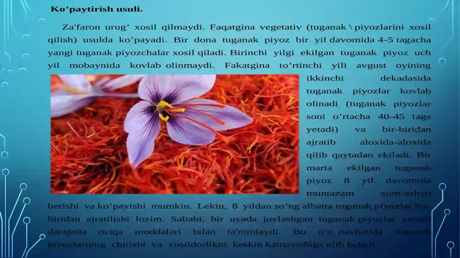 DORIVOR O’SIMLIKLAR URUG’CHILIGI VA KO’CHATCHILIGI 4