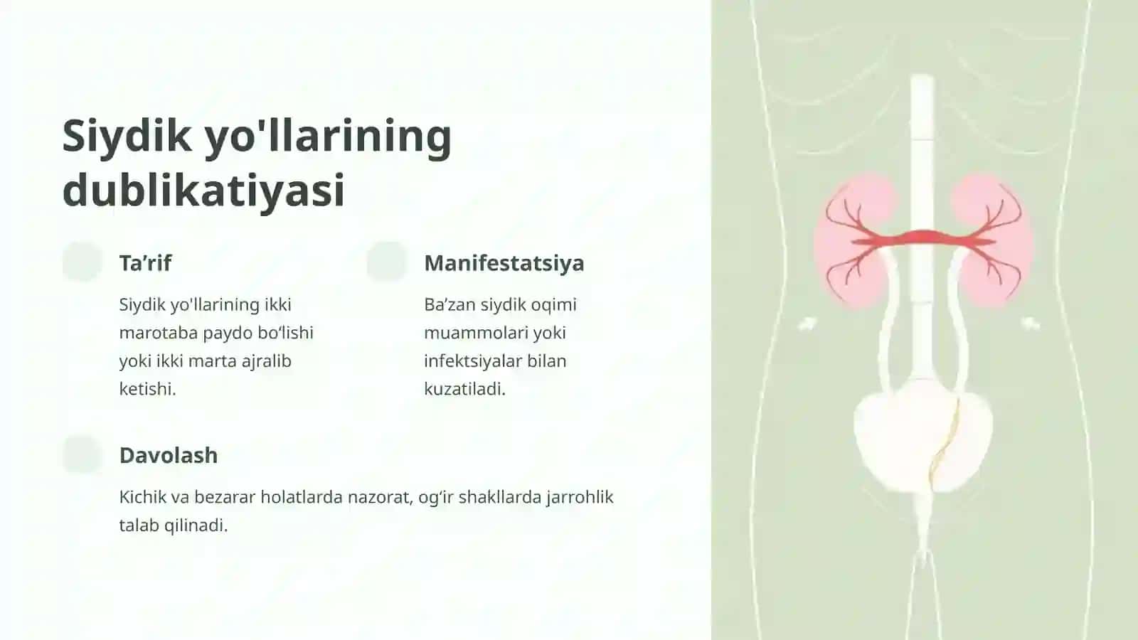 Ajratish sistemasining anomaliyalari 4